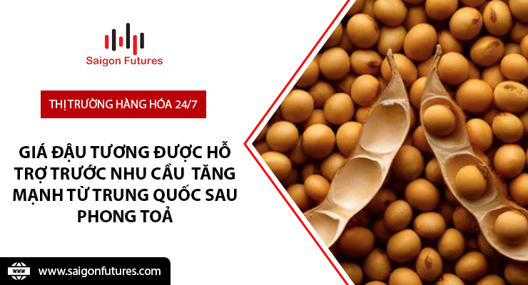Giá đậu tương được hỗ trợ trước nhu cầu tăng mạnh từ Trung Quốc sau phong toả Giá đậu tương được hỗ trợ trước nhu cầu tăng mạnh từ Trung Quốc sau phong toả