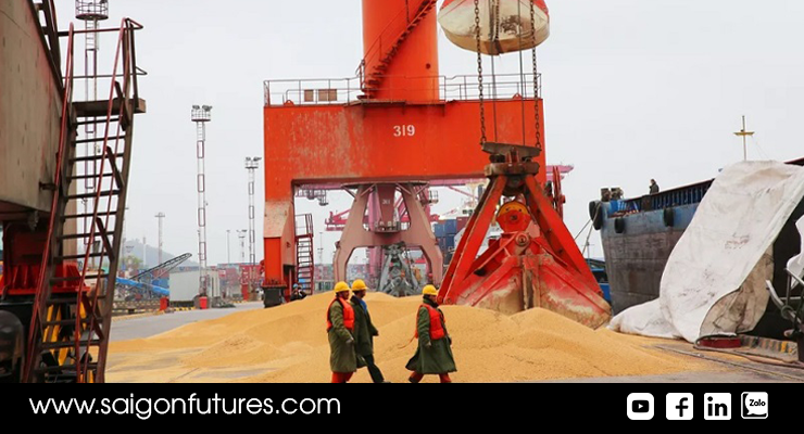 Số liệu xuất khẩu của Mỹ xấu hơn nhiều so với dự báo Số liệu xuất khẩu của Mỹ xấu hơn nhiều so với dự báo